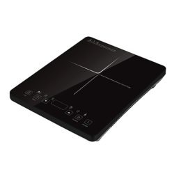 INDUCTION  COOKER  BOSTON  BAY  ZS...