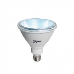 PARLIGHT  ZIGMA  SL  4306F-PAR38  15W  DL...