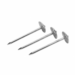 NAIL  (UMBRELLA)  TS   2-1/2"