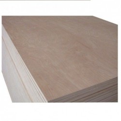 PLYWOOD  WOODTEK  ORDINARY  5X1220X2440MM...