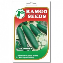 SEEDS  RAMGO  CUCUMBER